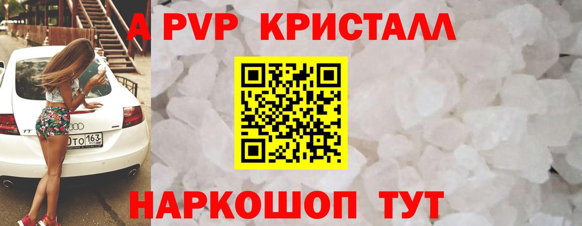 A PVP СК Великий Новгород