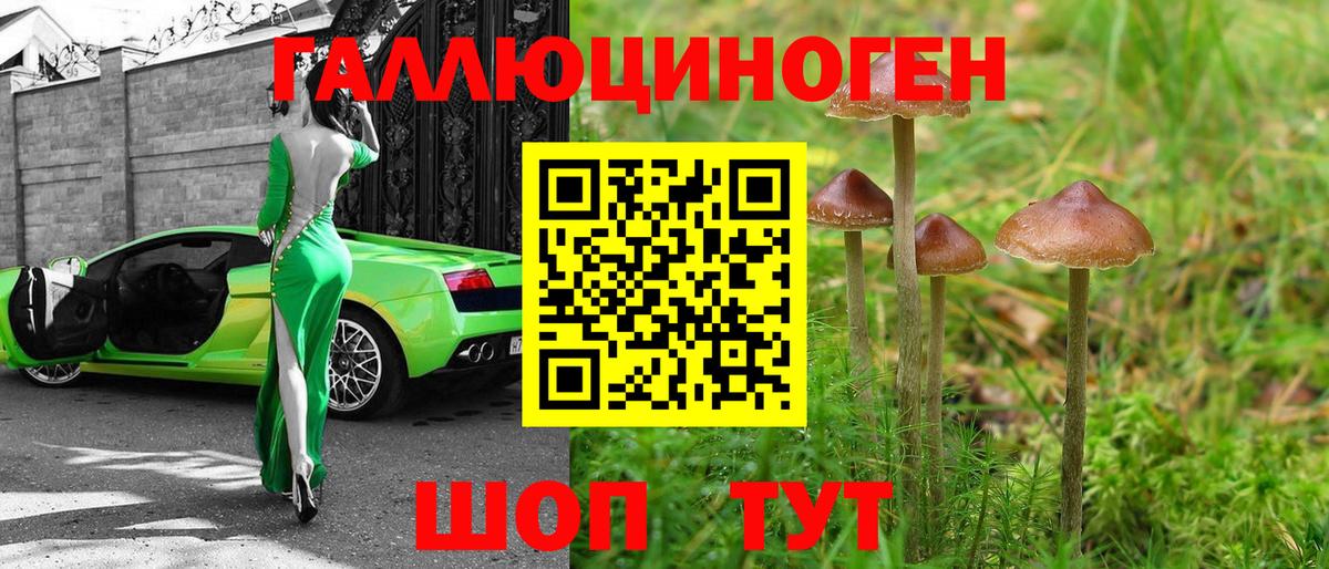 Псилоцибиновые грибы GOLDEN TEACHER  Вход с VPN  Галлюциногенные грибы мицелий  Великий Новгород 